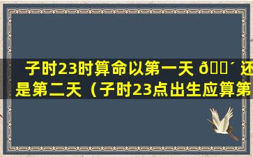 子时23时算命以第一天 🐴 还是第二天（子时23点出生应算第二天还是当天）